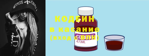 соль ск Абаза