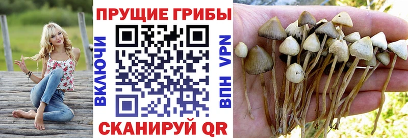 где можно купить наркотик Шахты blacksprut сайт Псилоцибиновые грибы ЛСД