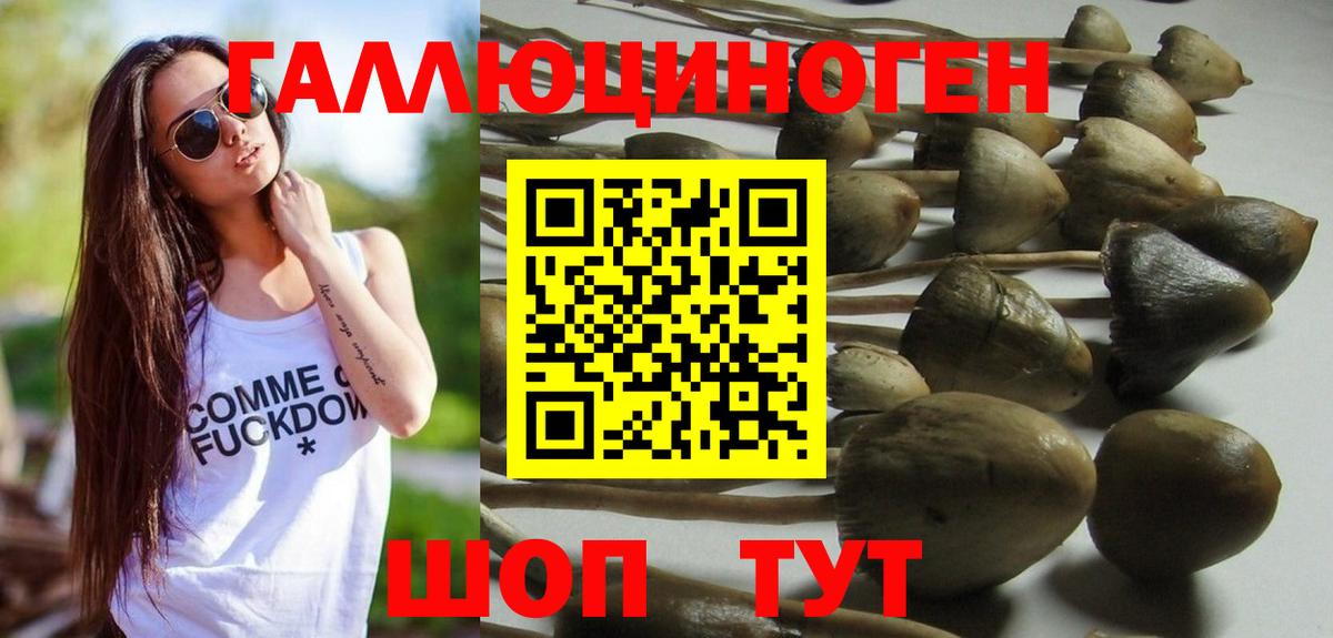 Галлюциногенные грибы Magic Shrooms  Вход с VPN  Шахты 