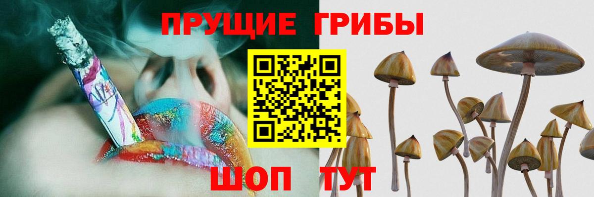 Галлюциногенные грибы Psilocybe Шахты